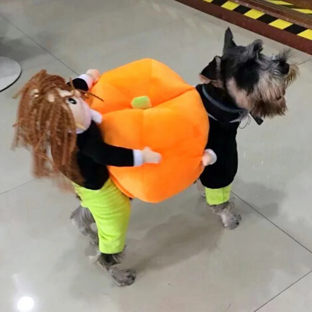Pumpkin Pet Costume