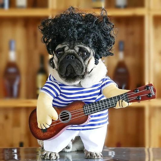 Guitar Pet Costume
