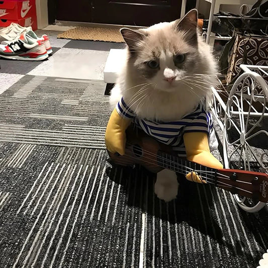 Guitar Pet Costume