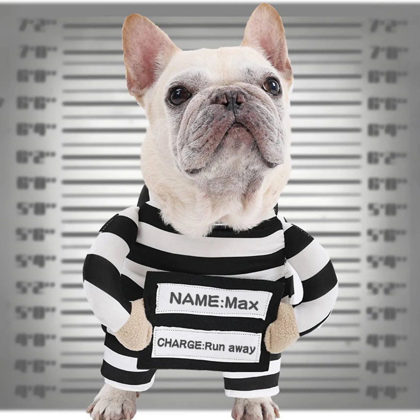 Prisoner Pet Costume  | PawTumes Mugshot Edition