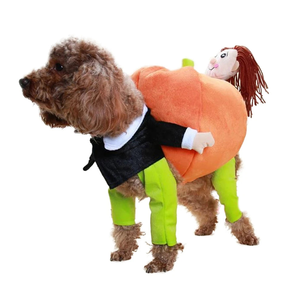 Pumpkin Pet Costume