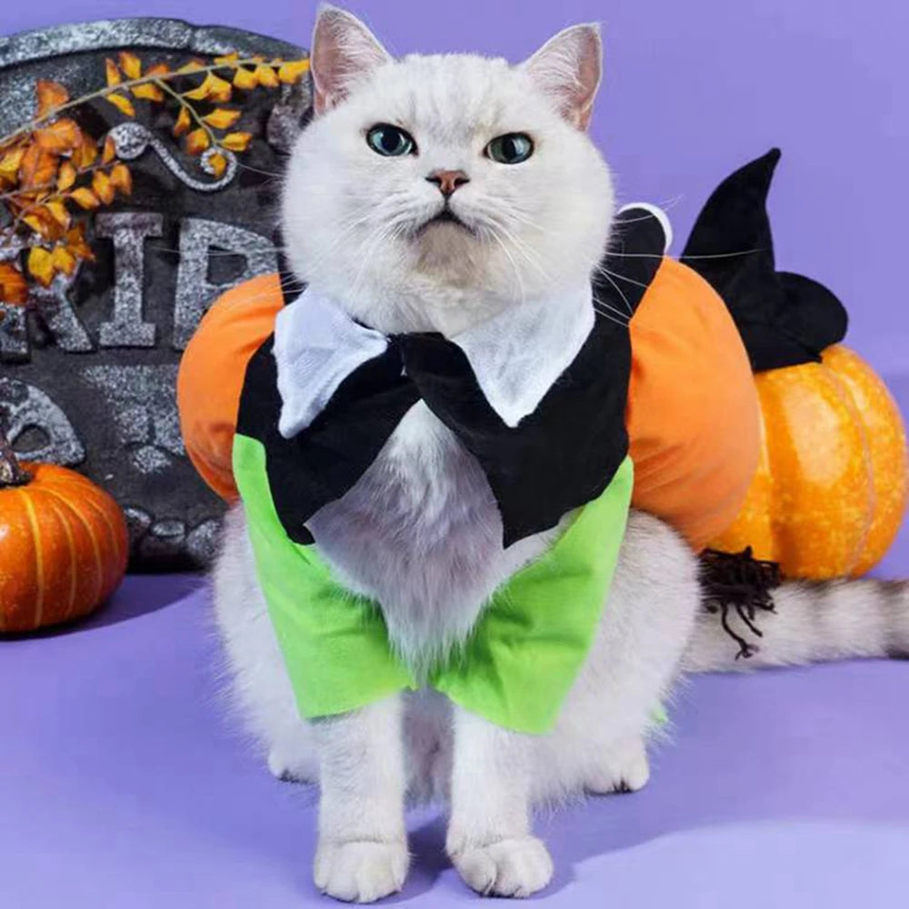Pumpkin Pet Costume