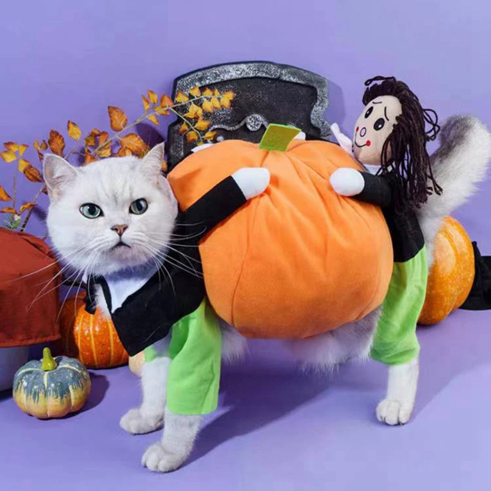 Pumpkin Pet Costume